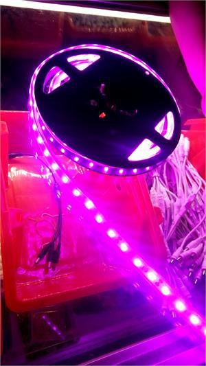 5050SMD NovaBright Pink Flexible Waterproof LED Light Strip 16 Ft Reel Kit